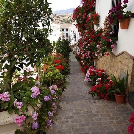 Casa De Las Flores - A Picture Perfect Location! Эль-Гастор Экстерьер фото