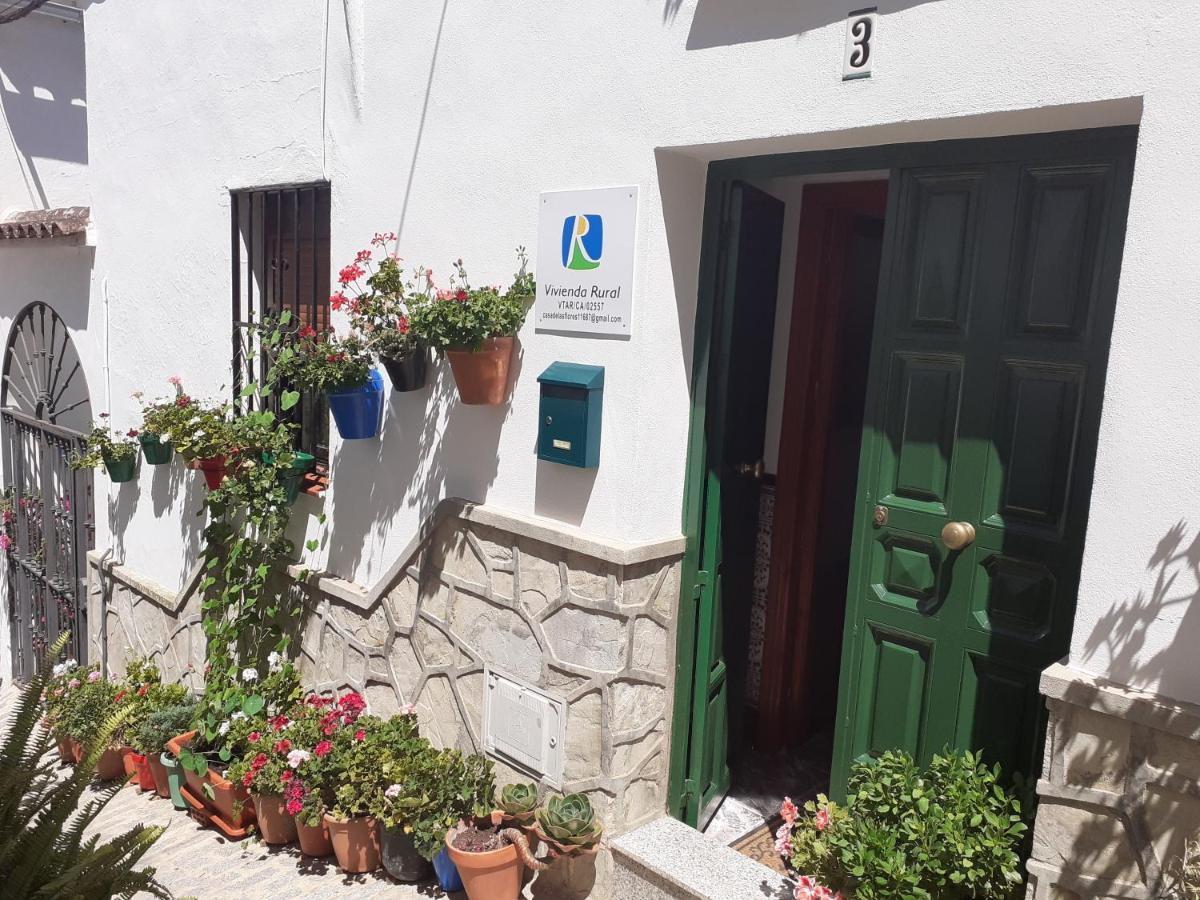 Casa De Las Flores - A Picture Perfect Location! Эль-Гастор Экстерьер фото