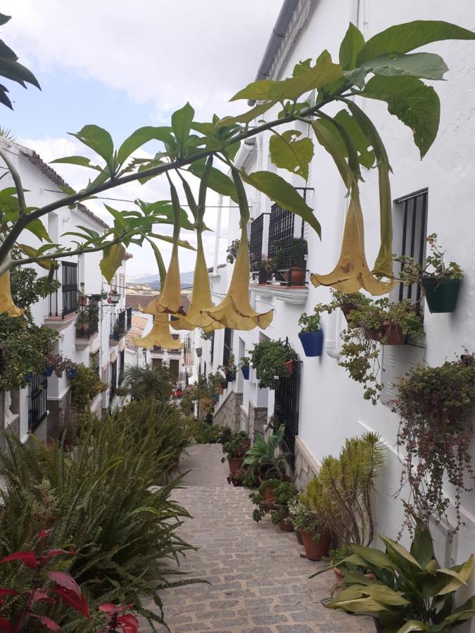 Casa De Las Flores - A Picture Perfect Location! Эль-Гастор Экстерьер фото