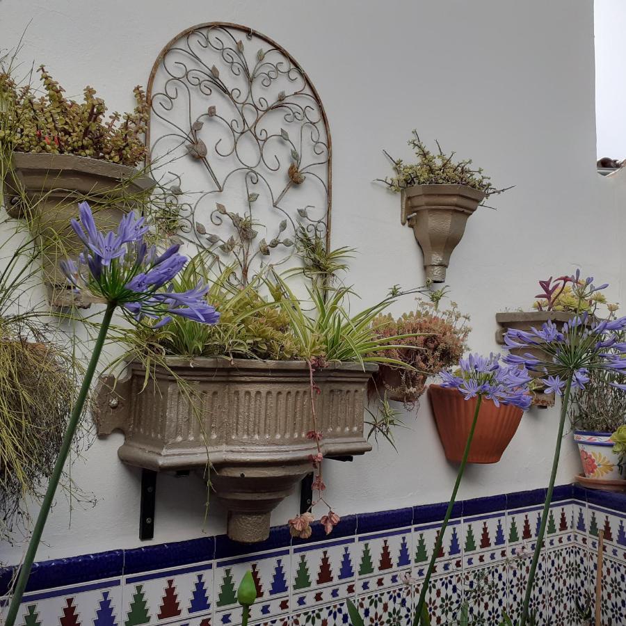 Casa De Las Flores - A Picture Perfect Location! Эль-Гастор Экстерьер фото