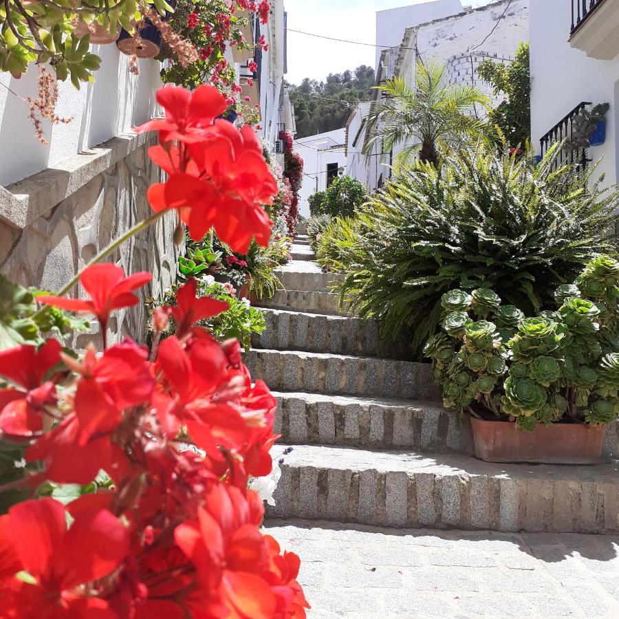 Casa De Las Flores - A Picture Perfect Location! Эль-Гастор Экстерьер фото